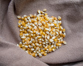 Popcorn kernels. Organic